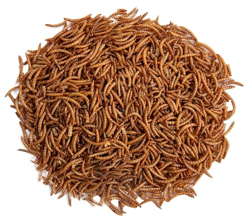 Futterhof getrocknete Mehlwürmer 10 L Eimer (= 1,65 kg), Premium Qualität
