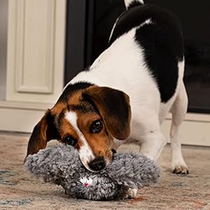goDog-PlayClean-Rabbit-Squeaky-Plush-Dog-Toy-with-Odor-Eliminating-Essential-Oils-Chew-Guard-Technology-Gray-Small - Cucciolini Doodles goDog-PlayClean-Rabbit-Squeaky-Plush-Dog-Toy-with-Odor-Eliminating-Essential-Oils-Chew-Guard-Technology-Gray-Small