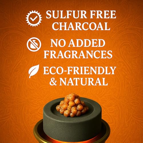 Image of SIGNAMIO Multipurpose Charcoal Tablets for Incense Burner, Odorless Charcoal, Long Lasting Clean Burn Coal Discs for Indoor & Outdoor Use - DN-4