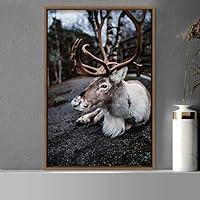 Framed Canvas Wall Art Deer Animals Deer Multicolor Photography Rustic Urban - 16x24 inches