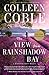 The View from Rainshadow Bay: Romantic Suspense (A Lavender Tides Novel)