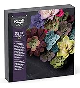 Craft Crush — Felt Succulents Craft Kit — Display Kit — Fun & Easy — Ages 13+, Small