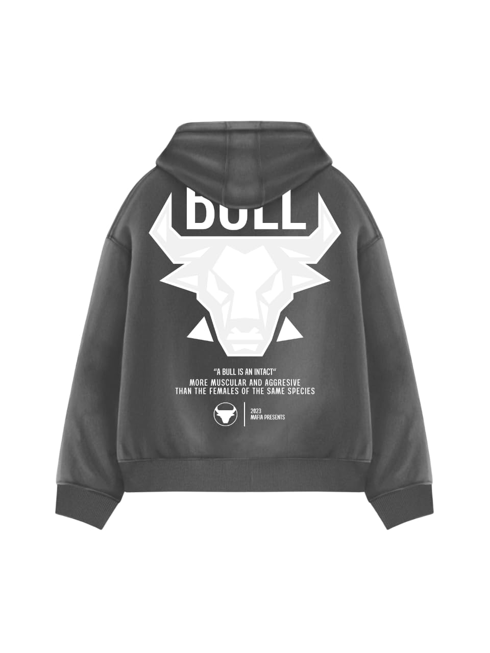 Oversize Bull Hoodie - Anthracite