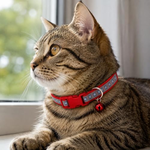 Image of Adjustable Stylish Dog & Cat Collar | 10mm Durable Comfortable Pet Collar with Bell | Ideal for Small & Medium Pets Cotton Candy (Bone Printed Radium Collar) (Red, Pack of 2)