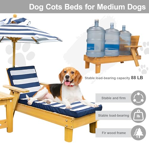 tavo pets shell lounge chair review