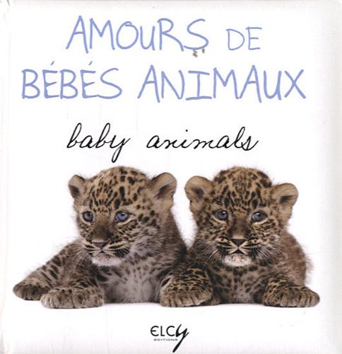 Amours de bébés animaux