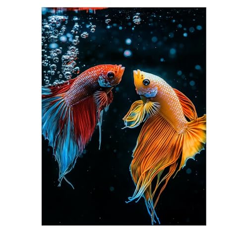  G G|Lbg  yCgoCio[ hJ[G LoX 70x95cm Painting by Numbers LbgqS DIY GCeA Ƃ̕ǂ̑Ƃ Ղ  Mtg YH2-1167