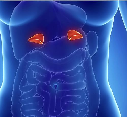 Miniatura 5 de MILAGRO ADRENAL ESSENCE DOCTOR'S CHOICE - Suplemento adratogénico de hierbas y vitaminas