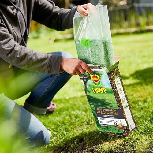 COMPO Gazonzaden Schaduwgazon, voor schaduwrijke zones, groen gekleurd tegen vogelvraat, snelle kieming, voor 50 m², 1 kg - Afbeelding 6
