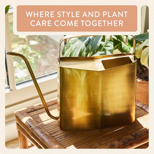 Modern Sprout Brass Plant Watering Can - 3L Stainless Steel - Long Spout by Modern Sprout - Used condition - Image 6