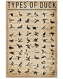 Types of Duck Funny Poster Gift for Men Woman Poster Home Art Wall Posters [No Framed]