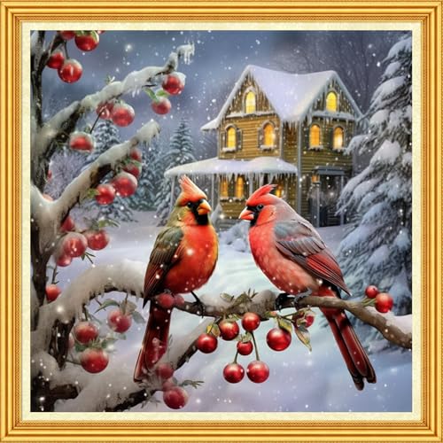 Image of Foxhool Stamped Cross Stitch Kits,11CT Printed Cross Stitch Pattern Full Embroidery Kits for Beginner Needlepoint Kits-Little Bird Snow Scene 18x18 inch
