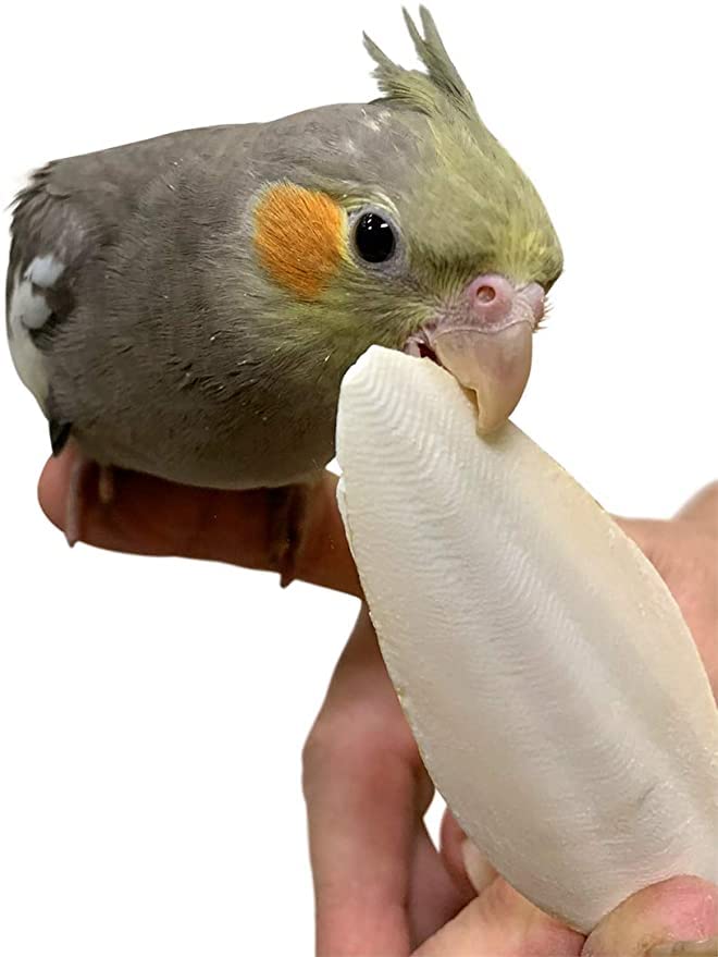Sage Square Pure Cuttle Fish Calcium Bone for Healthy Birds, Cockatiel, Budgies, Parrot, Grey, Finch, Java (250g) (B09W93SHGS) Amazon Price History, Amazon Price Tracker