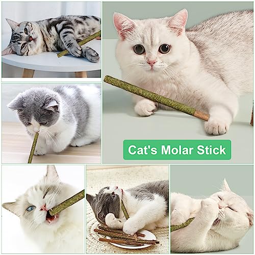 OSDUE 12 Stück Katzenminze Sticks, Matatabi-Kausticks, Katzenminze Spielzeug Katzen Kauhölzer Sticks für Katzen Zahnpflege & Gegen Mundgeruch Natürlich Sicher Katzensticks Kausticks Set