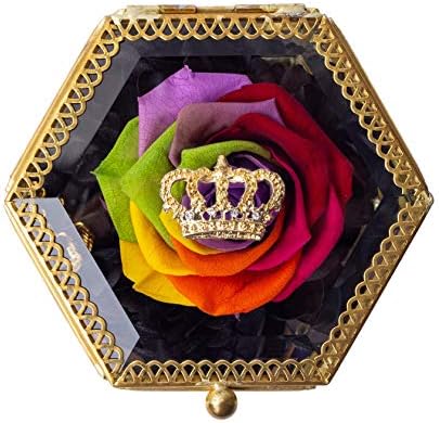 Preserved Real Flower,Enchanted,Eternal Forever Rose in Jewelry Box, Gifts for Women,Her,Girls,Sister, Mother's Day,Valentine's Day,Anniversary,Birthday,Wedding,Christmas (Colorful)
