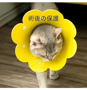 エリザベスカラー 猫 犬 、猫 保護カバー、舐め防止 エメナルド L Amazon | エリザベスカラー猫 犬 、猫 保護カバー、舐め防止