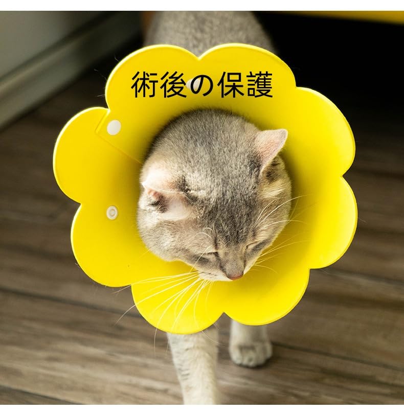 Amazon | エリザベスカラー猫 犬 、猫 保護カバー、舐め防止、引っ掻き