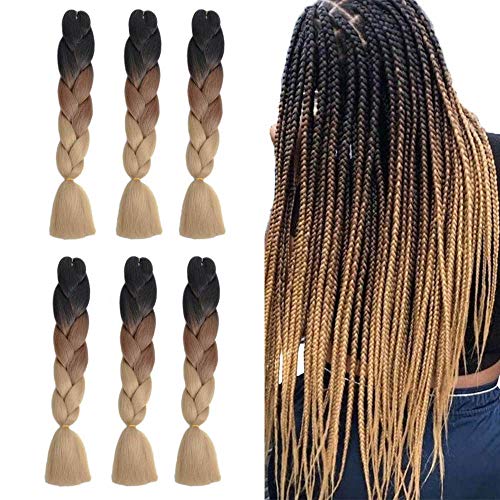 Fani Ombre Braiding Hair Synthetic Easy Jumbo Braids 6Pack 24 Inch Crochet Twist Braiding Hair Extensions for Women (1B-4-27)