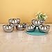 Sumeet Heavy Gauge Stainless Steel Big Size Apple Bowl/Wati/Katori with Mirror Finish 12.2cm Dia, Set of 6pc, 550ML Each, Silver