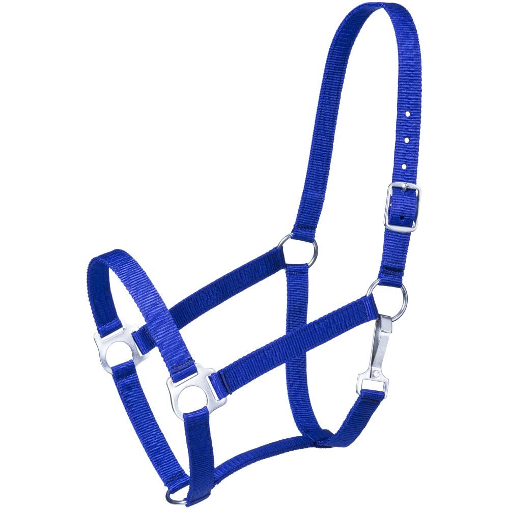 Tough 1 Economy Halter, Royal Blue, Horse