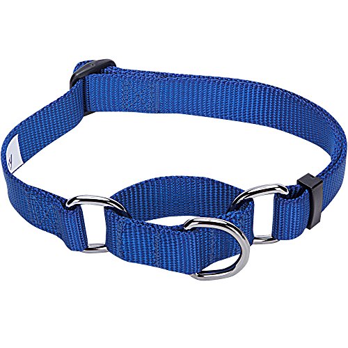 Blueberry Pet Essentials Safety Training Martingale Dog Collar, Royal Blue, Large, Heavy Duty Nylon Adjustable Collars for Boy and Girl Dogs