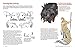A Guide to Drawing Manga Fantasy Furries: and Other Anthropomorphic Creatures (Over 700 illustrations)