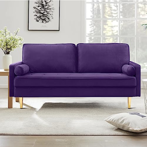 Hdxdkog Velvet Loveseat Sofa,Mid Century Modern Small Love Seats Furniture
