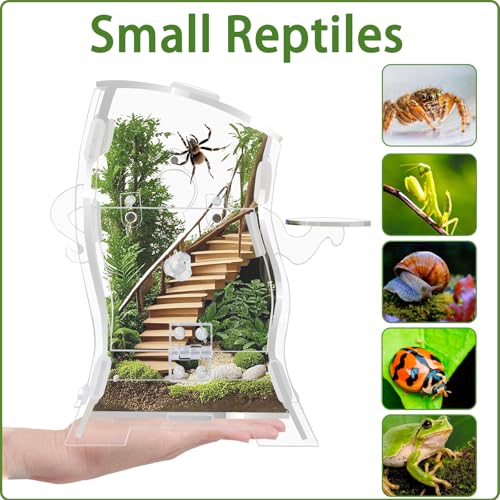 Image of Jumping Spider Enclosure Kit (Clear or Black), 3.15x3.15x5.6 Inch Acrylic Terrarium with Magnetic Lock & Feeding Hole, Escape-Proof Mini Habitat for Tarantula, Mantis, Reptiles (Transparent Color-2)