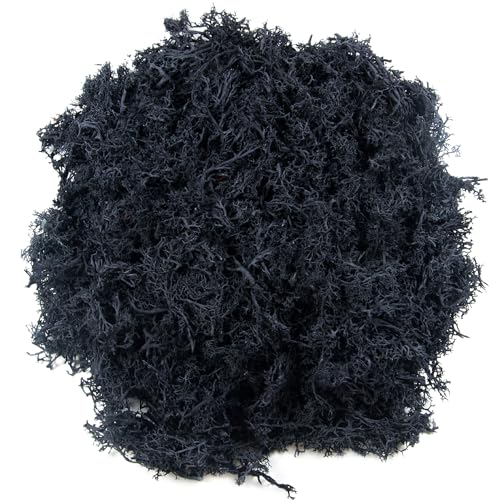 Jinenat 3.5 OZ Fake Moss for Plants Indoor Realistic Artificial Black Moss Preserved Moss for Crafts Reindeer Moss for DIY Table Centerpieces Terrarium Decor Fairy Garden Accessories