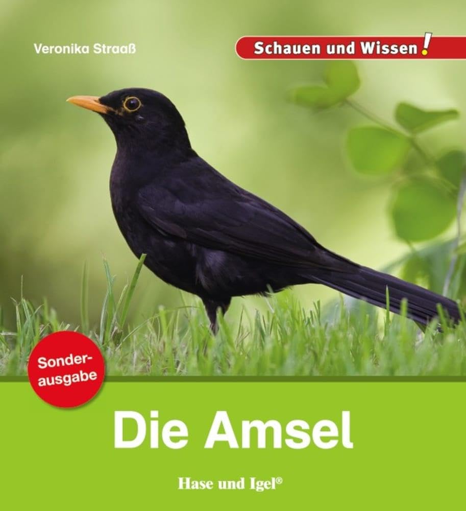 Die Amsel / Sonderausgabe: Schauen und Wissen!