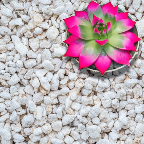 GARDENWISE Perlite for Plants, Extra Coarse Grade 4 Horticultural Perlite, Organic Perlite for...