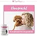 TierPlus Haarpracht, hochdosiertes Biotin Komplex für Hunde, gegen Haarausfall, Juckreiz & trockene Haut- Für EIN glänzendes Fell & schöne Haut, 120 Tabletten