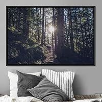 Framed Canvas Wall Art Rustic Woods Brown Dark Dramatic Forest Group Nature Photography Realism - 16x24 inches