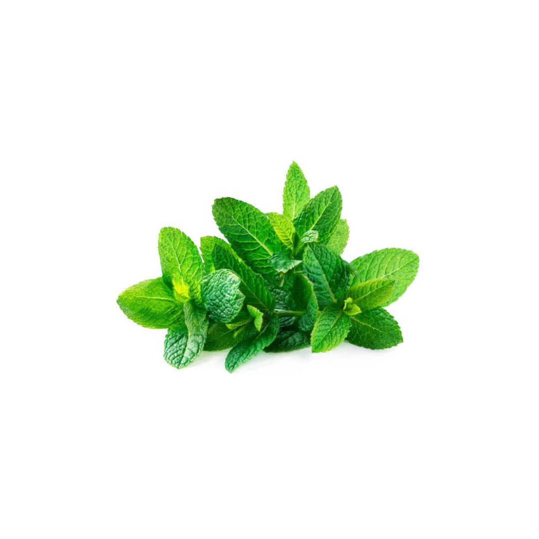 Mint seeds herbs seeds hybrid gardening vegetable seeds home gardening seeds 50 above seeds all season seeds (B0BJPXVNCR) Amazon Price History, Amazon Price Tracker