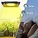 Relassy 150W Waterproof Plant Light, Outdoor Grow Light,Sunlike,Full Spectrum LED Grow Lamp,Without Noise,Ultra Thin,Heat Dissipation,for Seedling Growing Blooming Fruiting