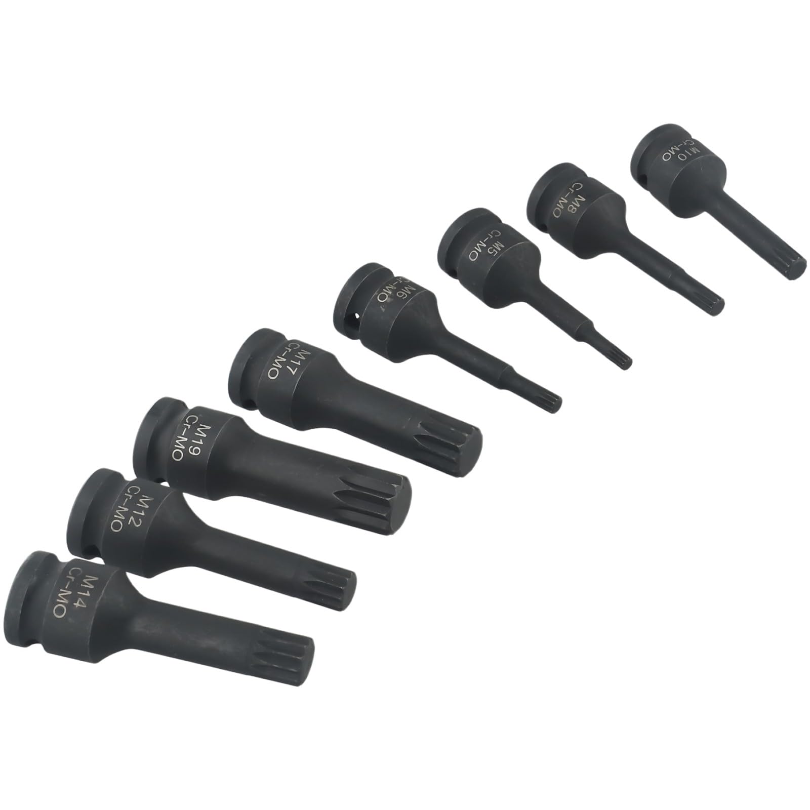 EasyByMall Set di chiavi a bussola Torx M5-M19 a 12 punti, 8 pezzi, 1/2", per riparazione automobilistica, struttura in metallo con custodia