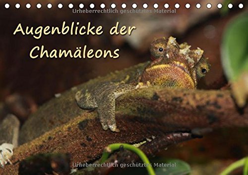 Augenblicke der Chamäleons (Tischkalender 2015 DIN A5 quer): Augenblicke aus dem Leben von Chamäleons (Tischkalender, 14 Seiten)