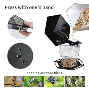 Bird Feeders for Outdoors Hanging Bird Feeder Wild Bird Seed, Black Bird Feeders for Outdoors Hanging Bird Feeder Wild Bird Seed Black