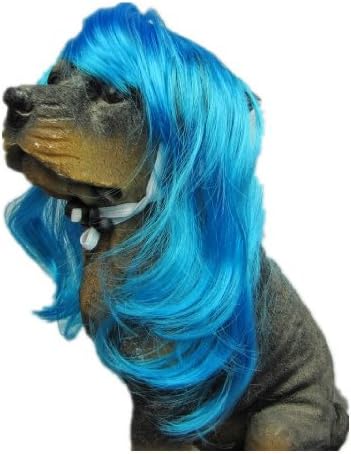 blue wig dog