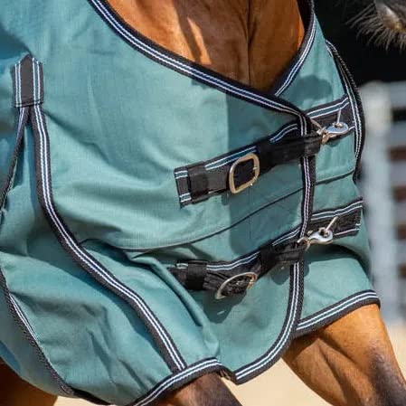 Jeffers Economy 600 Denier Standard Neck Turnout Sheet, 0 Gram, Black & Grey, 66