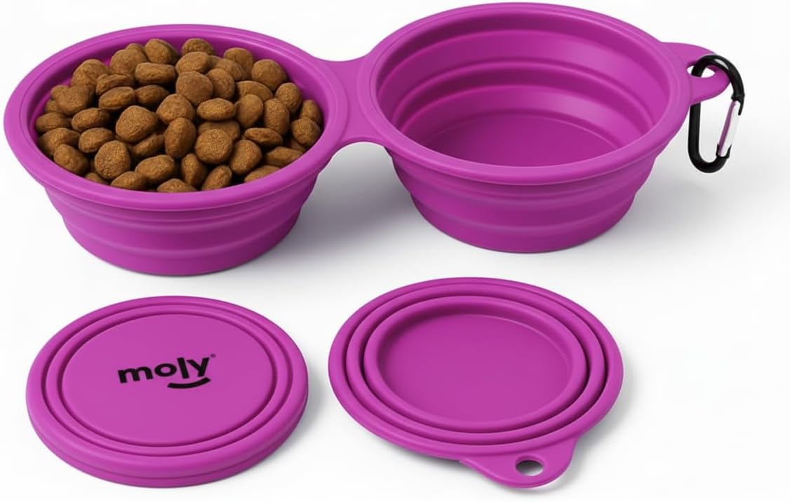 Bebedero Portátil Plegable de Silicona 350ml para Perros