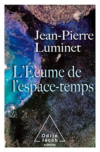 Télécharger L'Écume de l'espace temps Livre eBook France