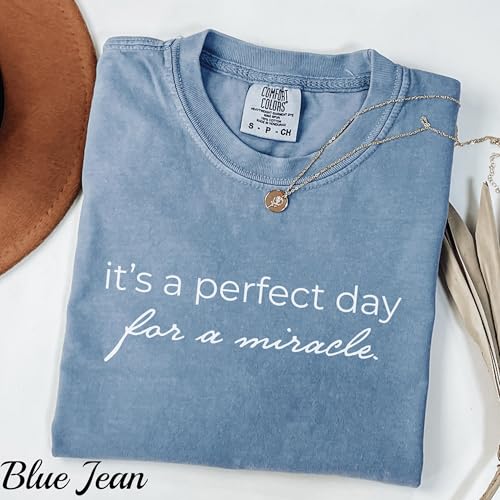 Comfort Colors® IVF Mom and Dad Gift Shirt, Transfer Day It’s A Perfect Day for A Miracle Shirt for Couples, IVF Strong Matching Tee White3