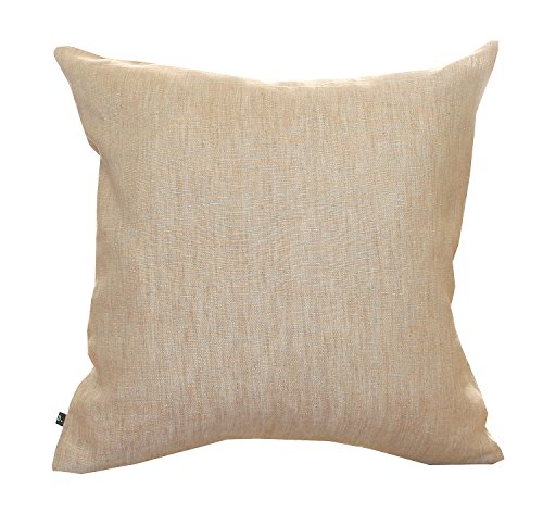 DDintex �f�B�[�f�B�[�C���e�b�N�X �N�b�V�����J�o�[ �t�����`�������W�� �u���E�� 30×30cm [���g�A�j�A���l�� �g�p]