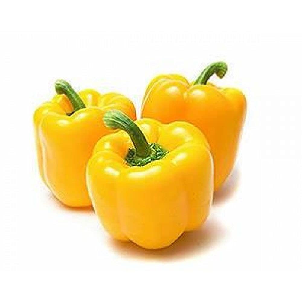 PLANTOGALLERY Vegetable Seeds | Capsicum Yellow | Bell Pepper/Sweet Pepper Seeds | Imported Seeds | F1 Hybrid | Organic Seeds | For Pot And Home Garden | Pack of 30 Seeds one Pkt (B09B2NPKGD) Amazon Price History, Amazon Price Tracker