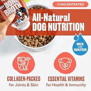 Beef Bone Broth for Dogs - Collagen Protein Supplement for Digestion, Mobility, Coat, Immune System, Healthy Dog Food Topper, Human Grade Meal Boost Gravy, Just Add Water, Made in USA 12 oz Beef Bone Broth for Dogs Collagen Protein Supplement for Digestion Mobility Coat Immune System Healthy Dog Food Topper Human Grade Meal Boost Gravy Just Add Water Made in USA 12 oz