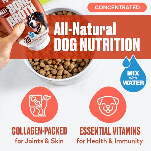 Beef-Bone-Broth-for-Dogs-Collagen-Protein-Supplement-for-Digestion-Mobility-Coat-Immune-System-Healthy-Dog-Food-Topper-Human-Grade-Meal-Boost-Gravy-Just-Add-Water-Made-in-USA-12-oz Beef Bone Broth for Dogs Collagen Protein Supplement for Digestion Mobility Coat Immune System Healthy Dog Food Topper Human Grade Meal Boost Gravy Just Add Water Made in USA 12 oz