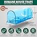 RatKil Humane Mouse Traps - 2 x Live See Through Rat & Mouse Traps For Indoors & Outdoors | Reusable, Child & Pet Friendly, Safe Alternative to Rat Poisoning, Mouse Poison & Mouse Traps That Kill RatKil Humane Mouse Traps - 2 x Live See Through Rat & Mouse Traps For Indoors & Outdoors | Reusable, Child & Pet Friendly, Safe Alternative to Rat Poisoning, Mouse Poison & Mouse Traps That Kill