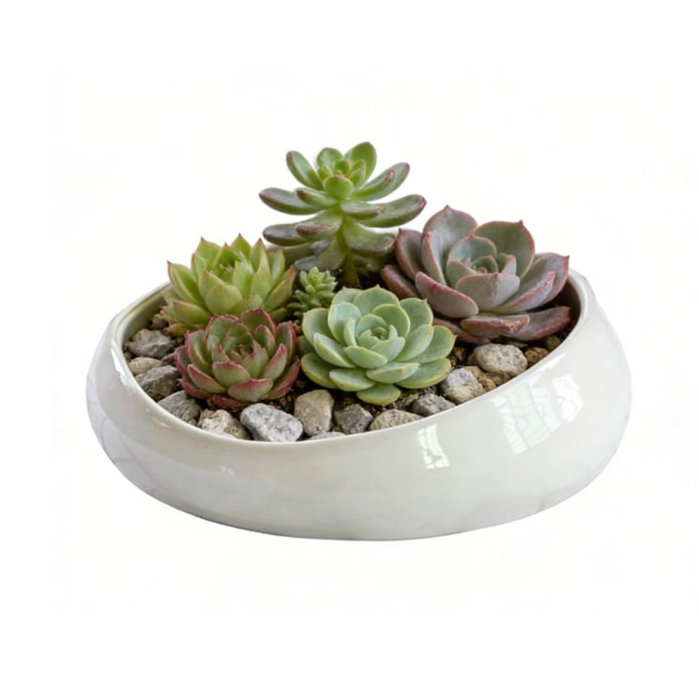 LOUIE SILNA Succulent Pot, 21 cm Ceramic Indoor Plant Pots with Drainage Holes,Modern Art Decorative Bonsai Pot, Gifts for Mom, White
