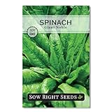 Sow Right Seeds - Giant Noble Spinach Seeds for Planting - Ideal for Fall/Spring Sowing - Non-GMO Heirloom Variety - Perfect for Vegetable Gardens - High Yield - Spinach for Planting Outdoors (1)